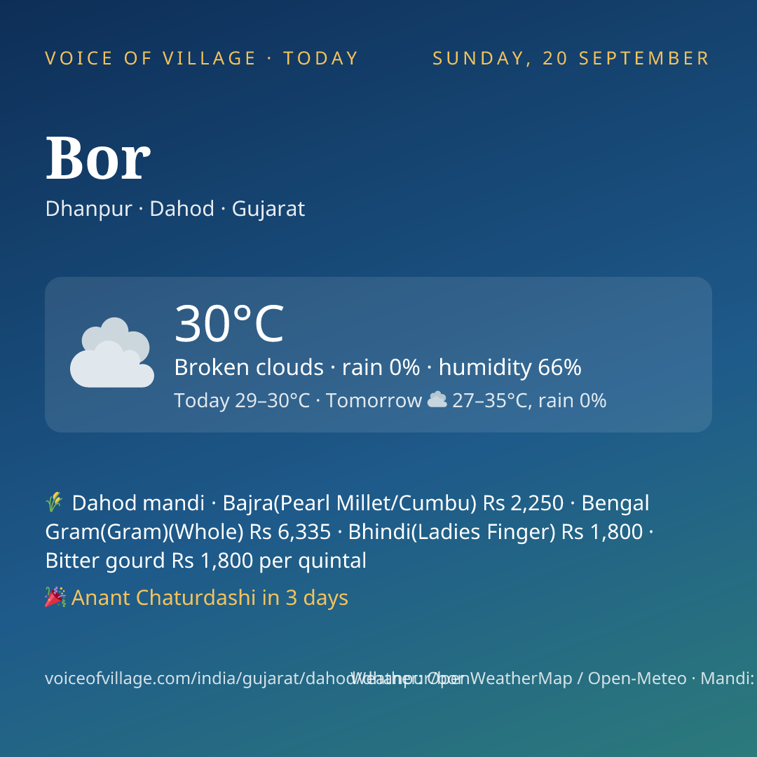 Bor today