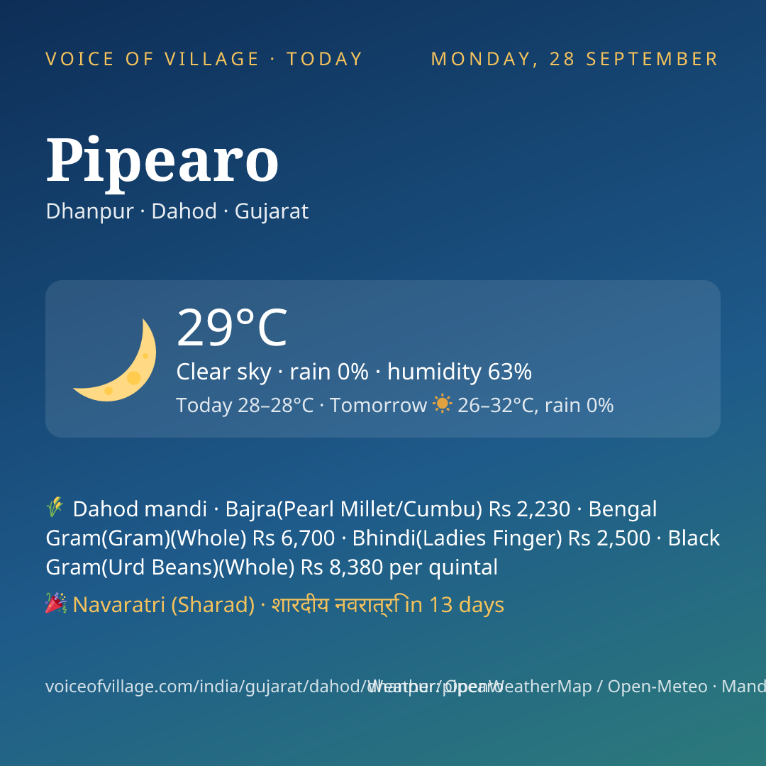 Pipearo today