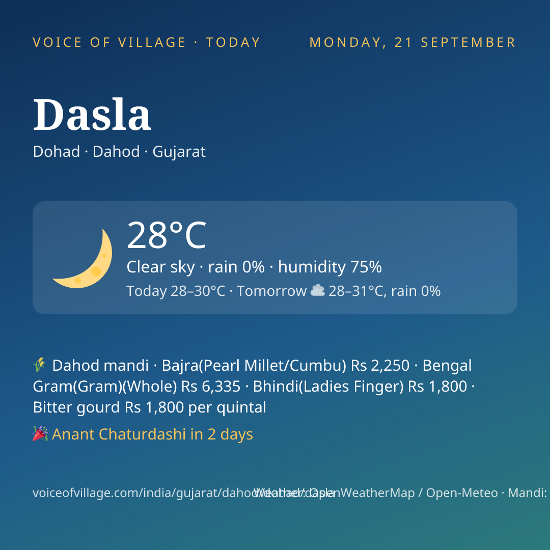 Dasla today