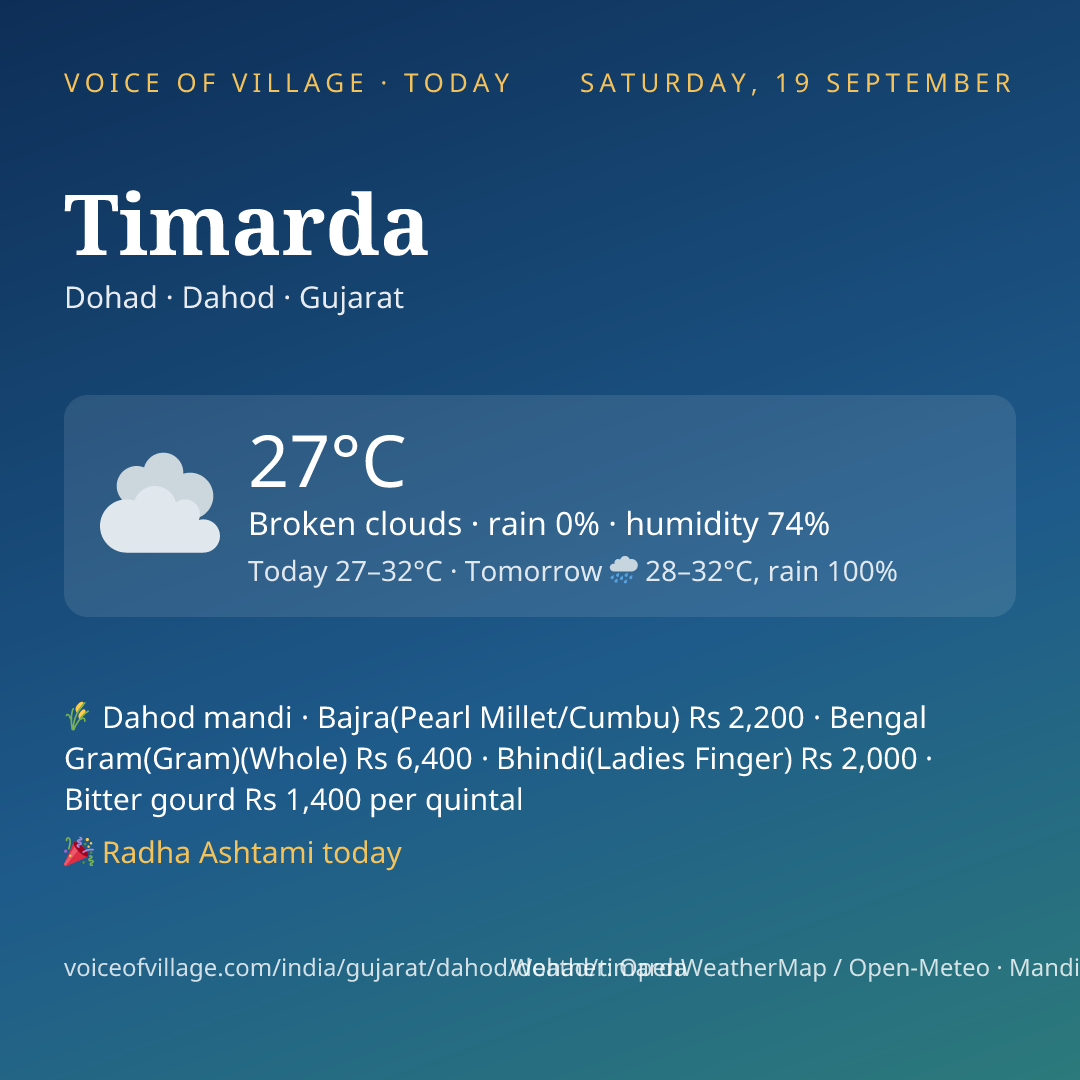 Timarda today