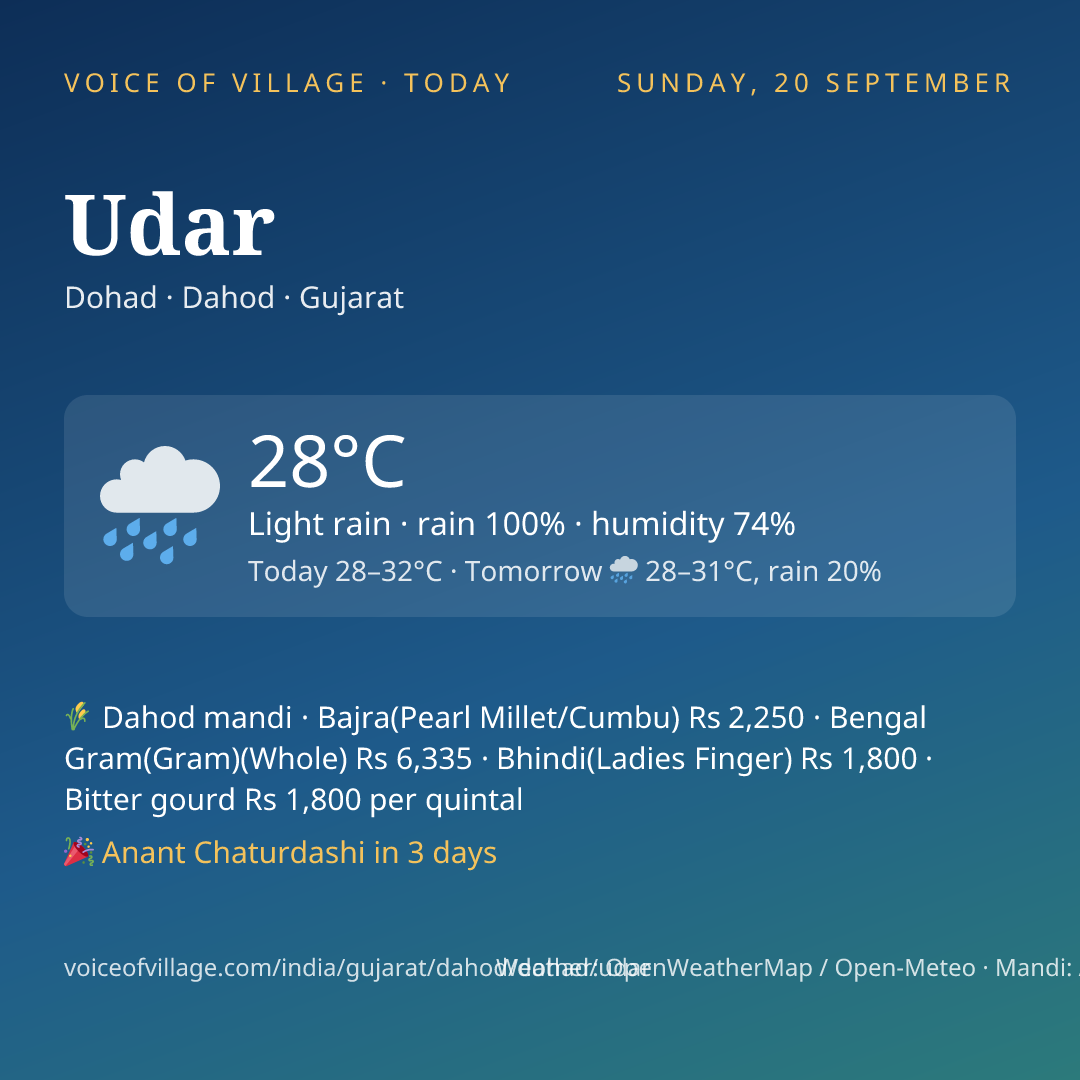 Udar today