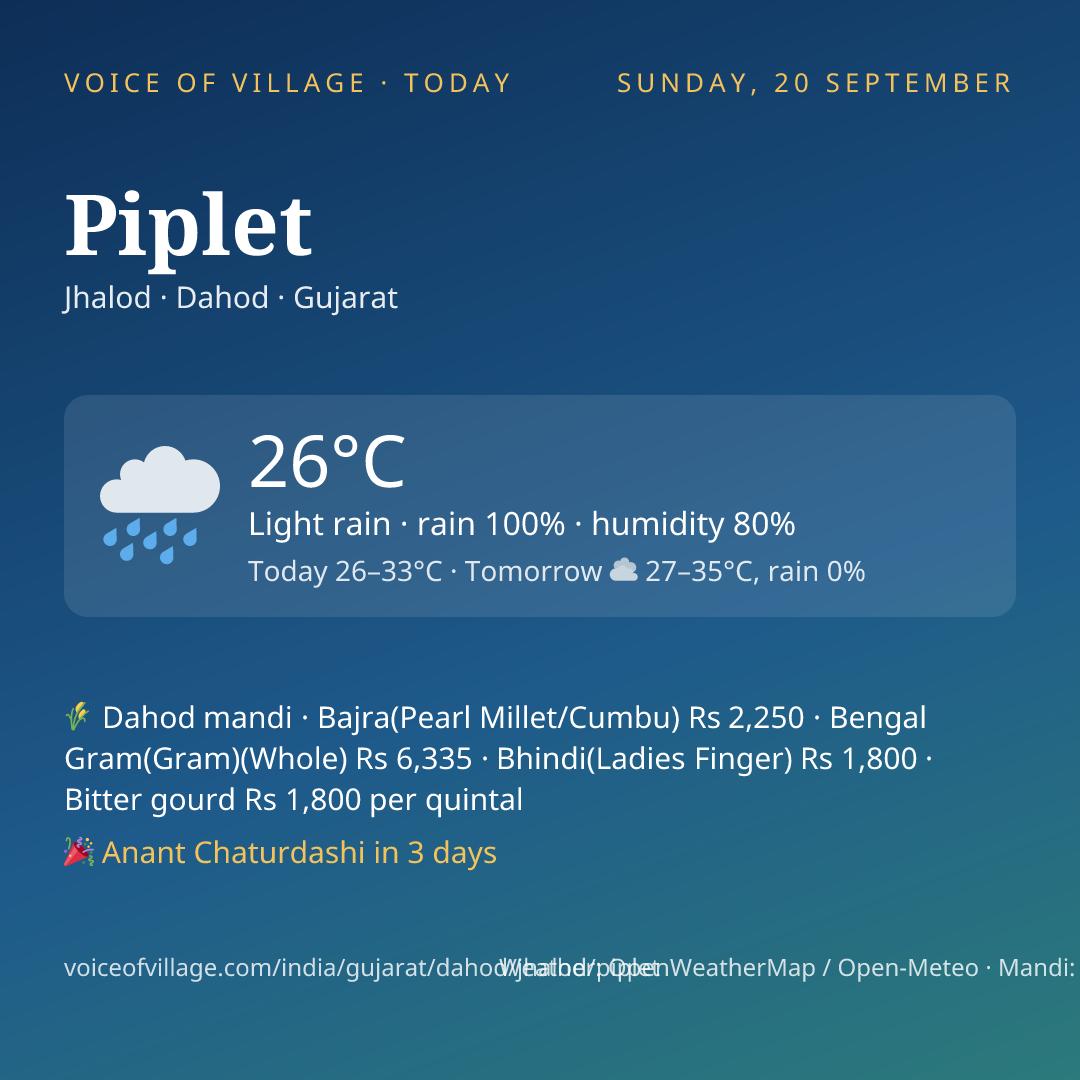 Piplet today