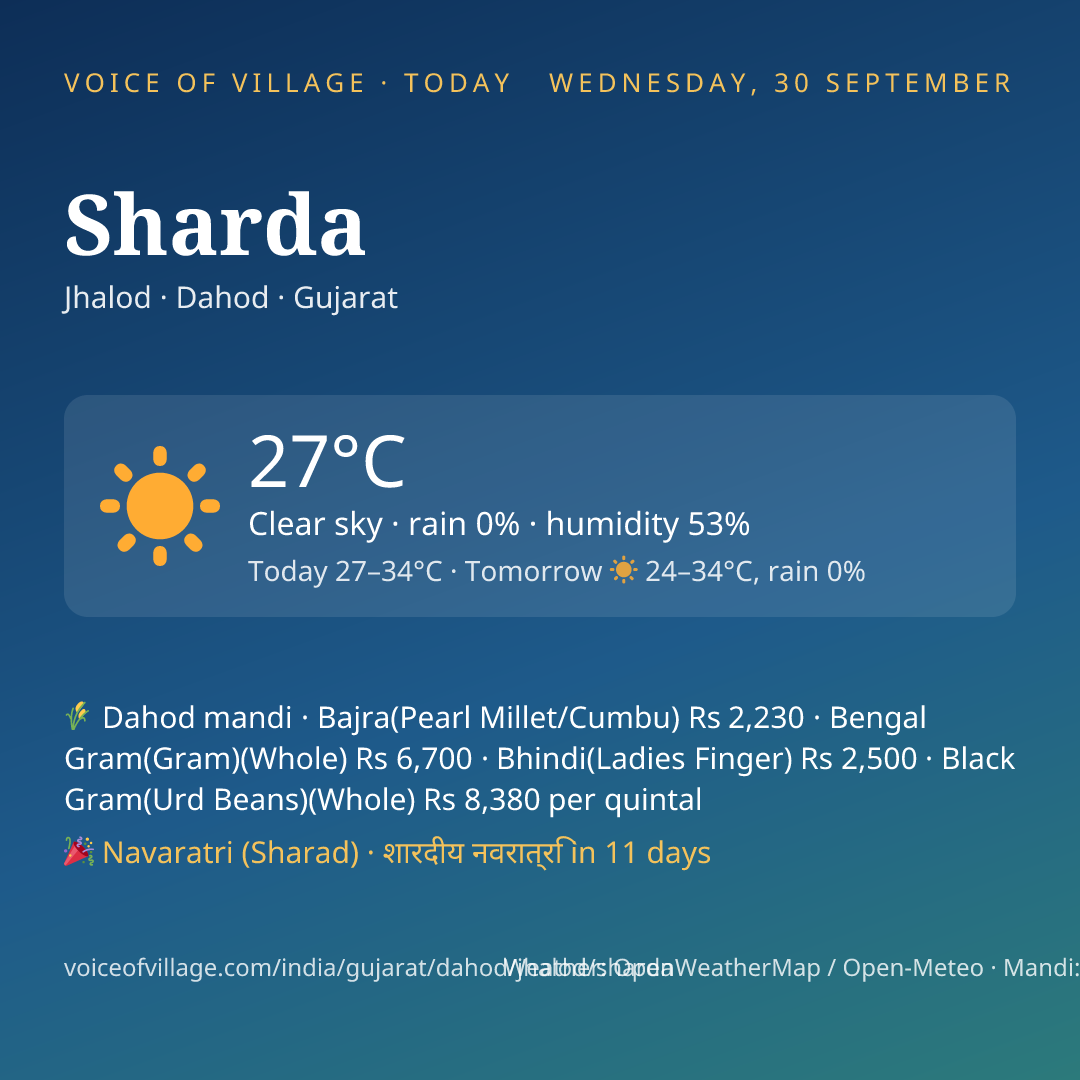 Sharda today