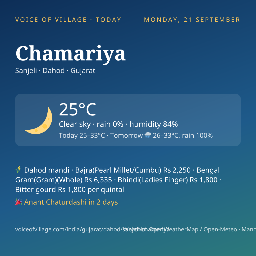 Chamariya today