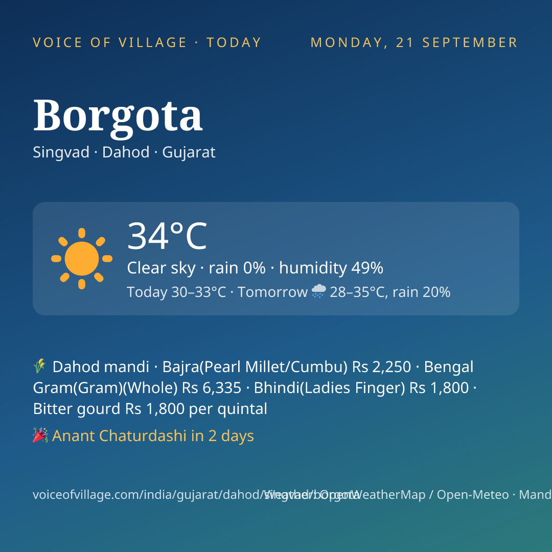 Borgota today