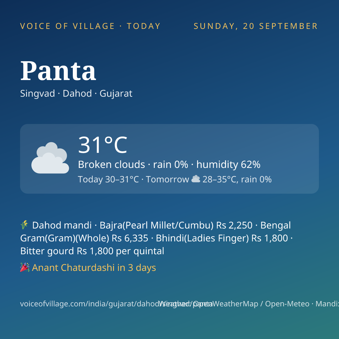 Panta today