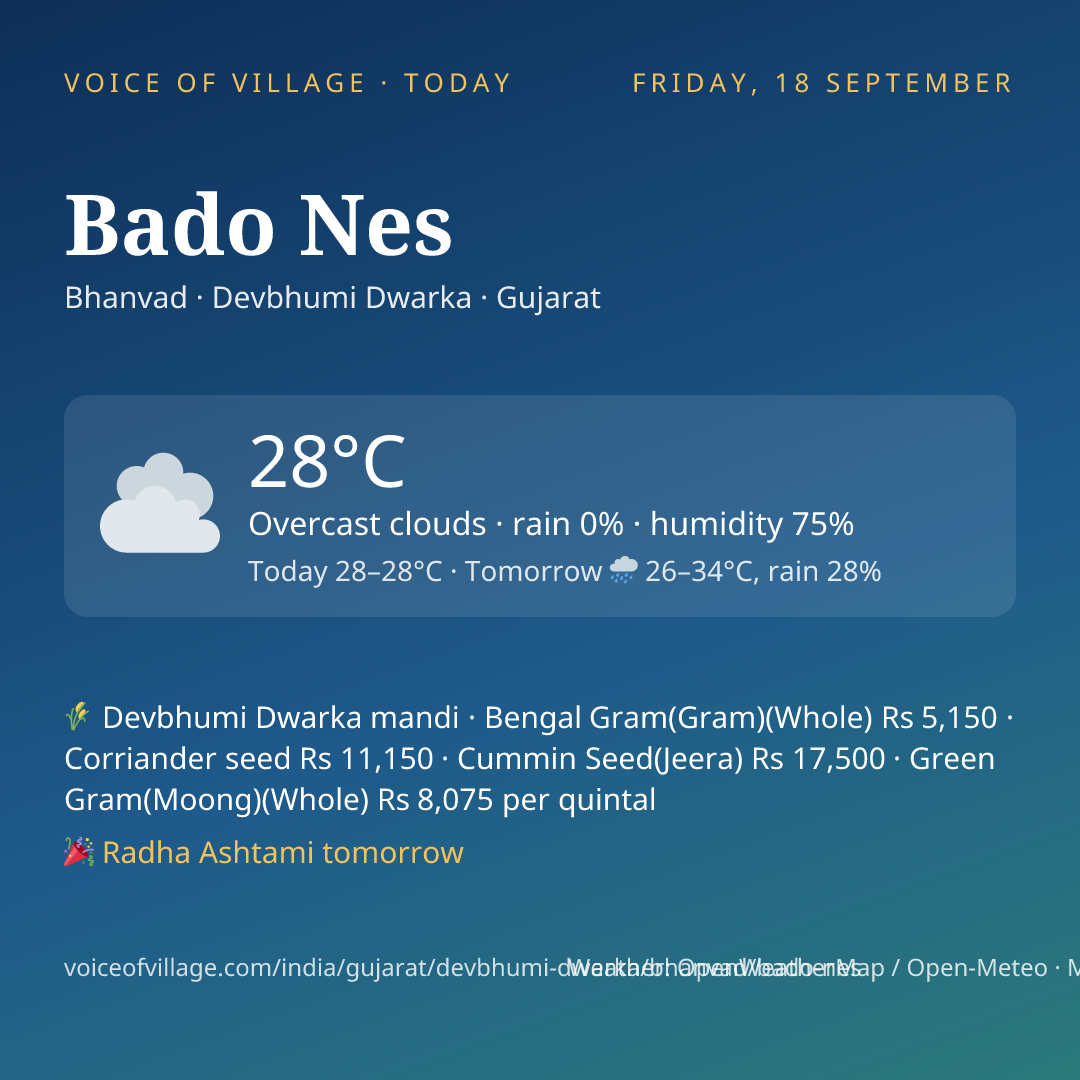 Bado Nes today