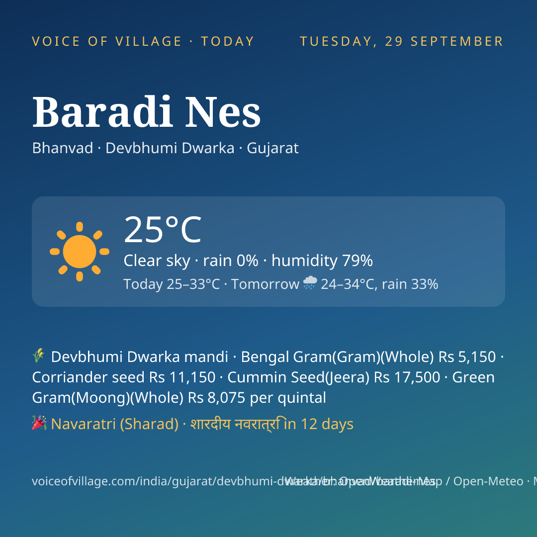 Baradi Nes today