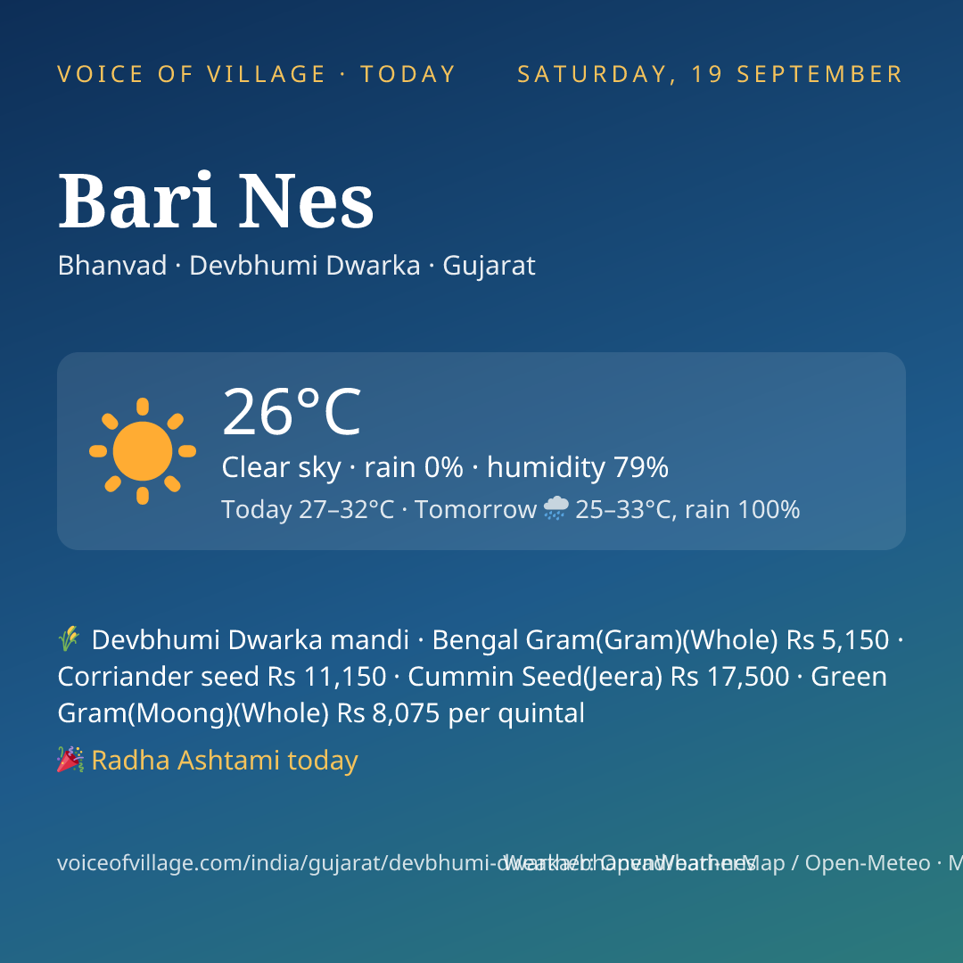 Bari Nes today