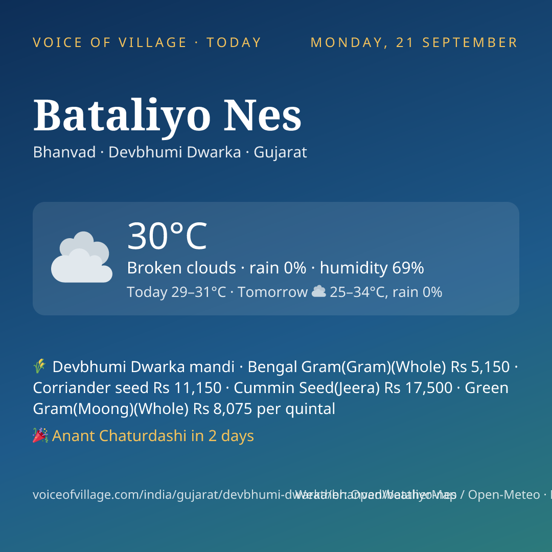 Bataliyo Nes today