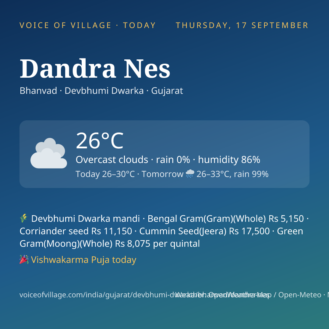 Dandra Nes today