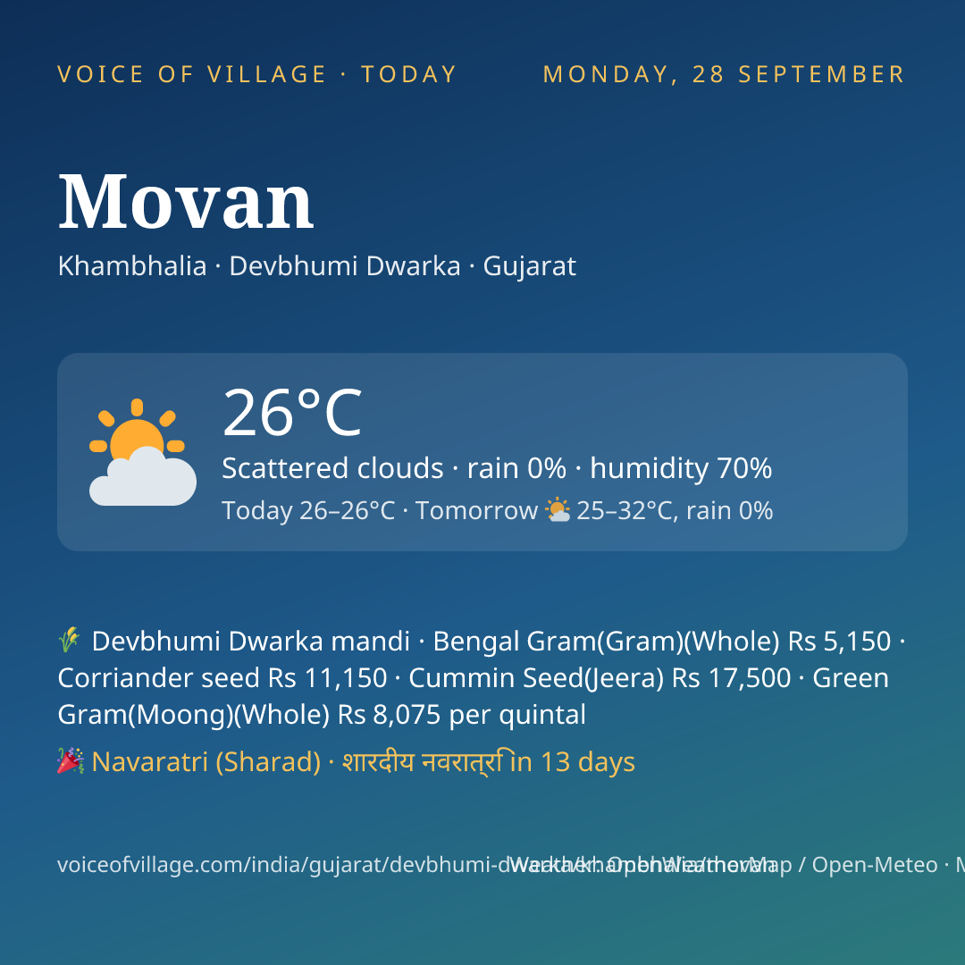 Movan today