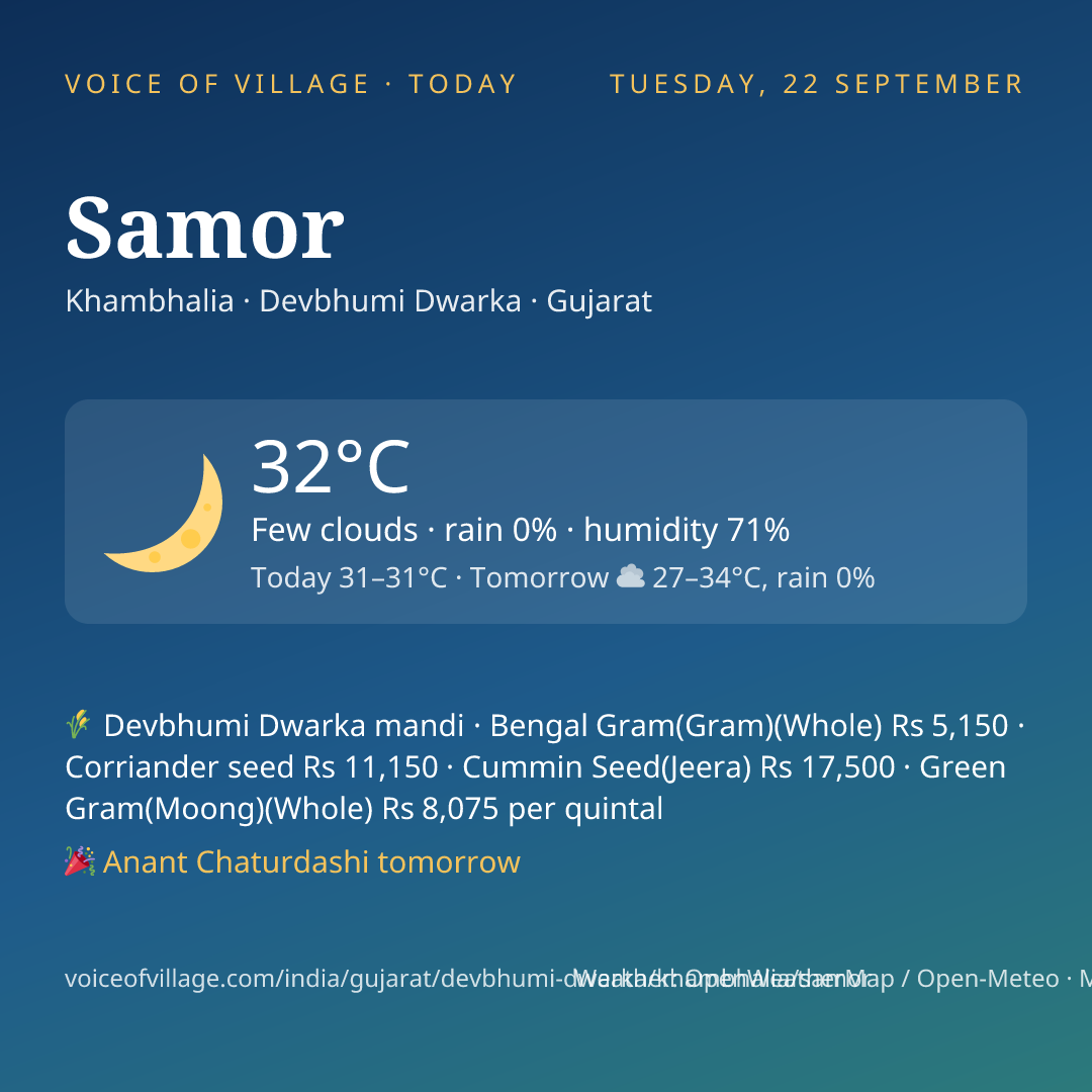 Samor today