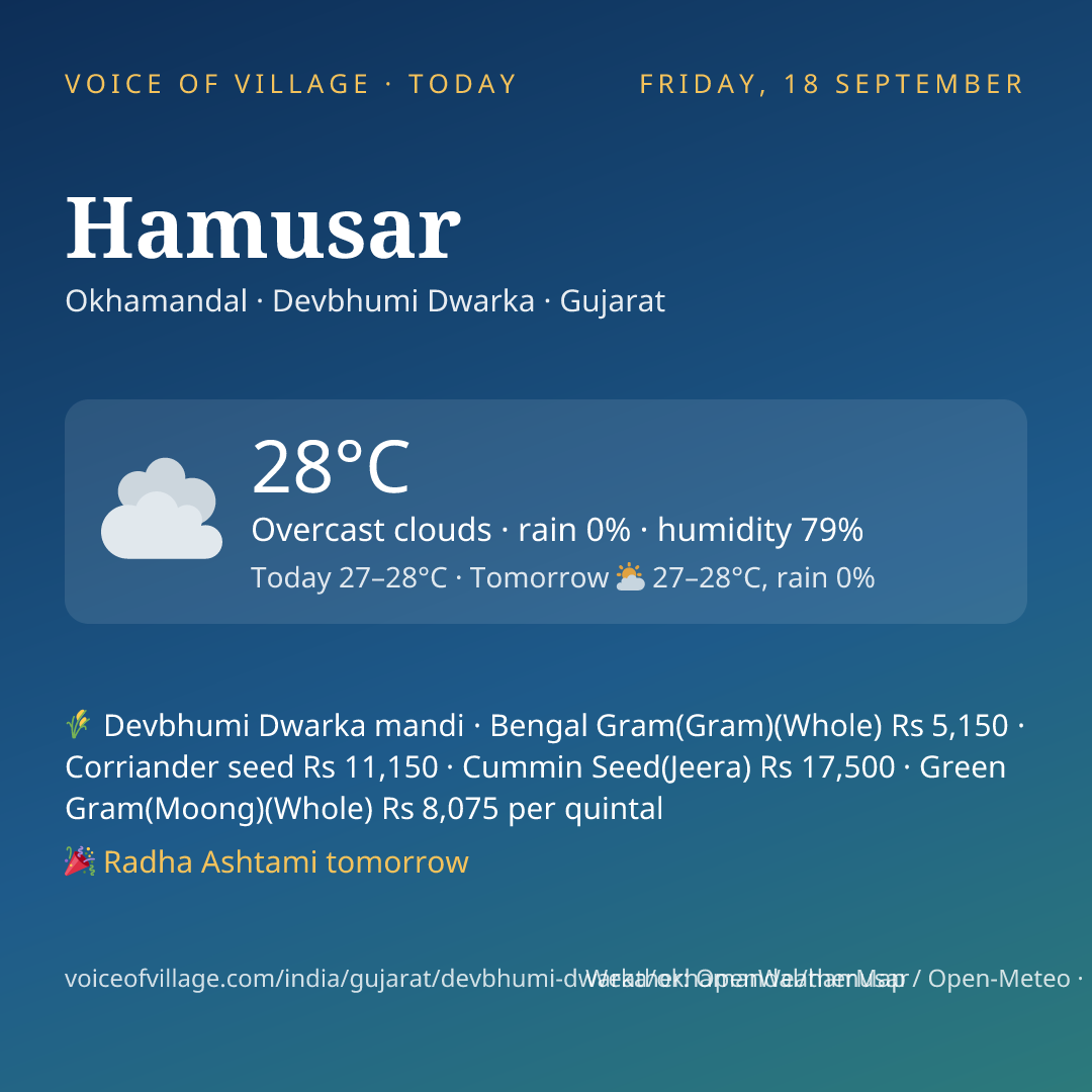 Hamusar today