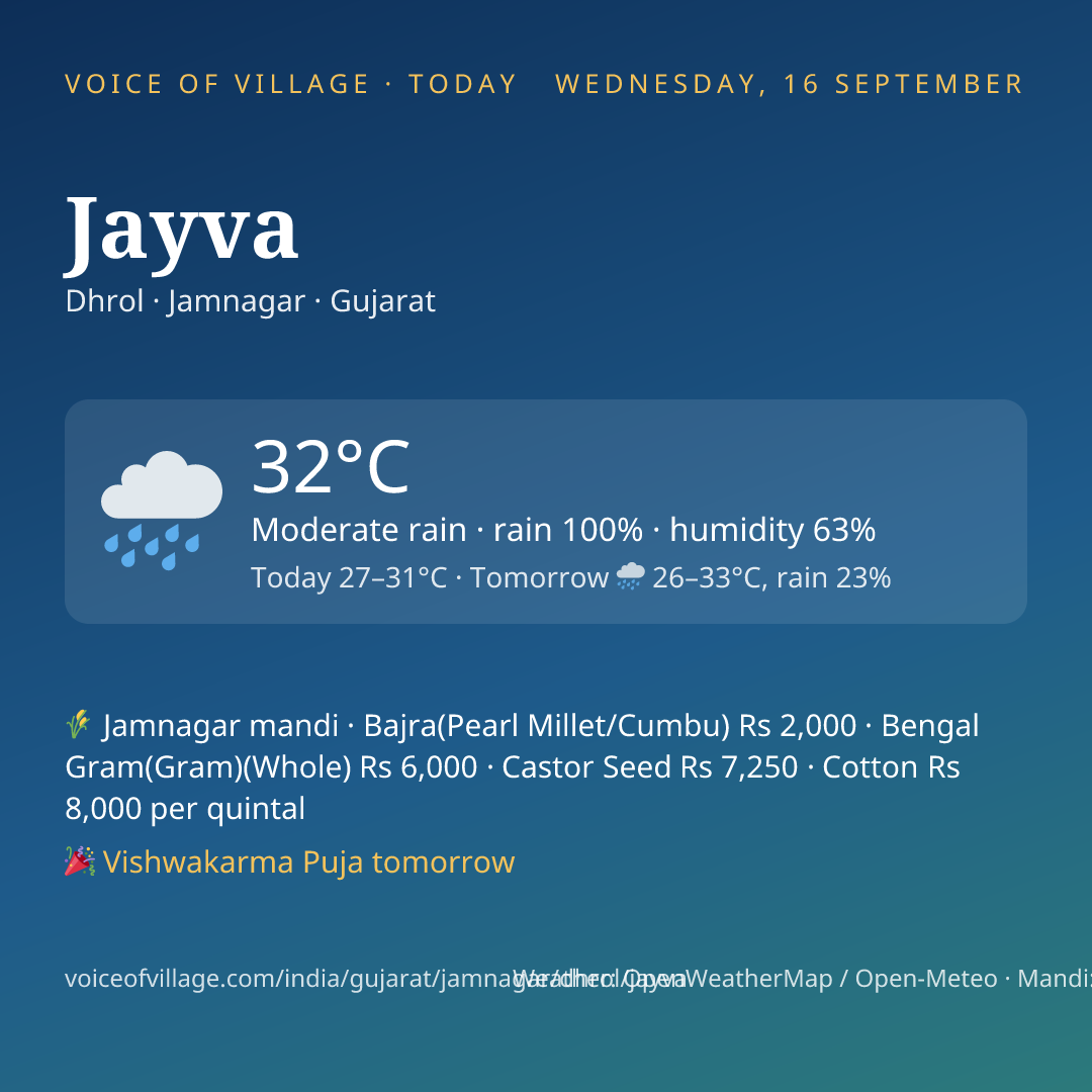 Jayva today