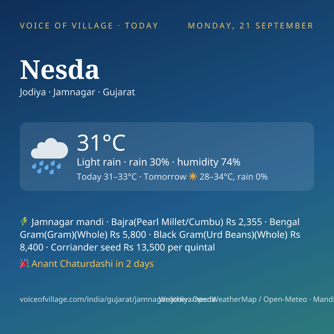 Nesda today