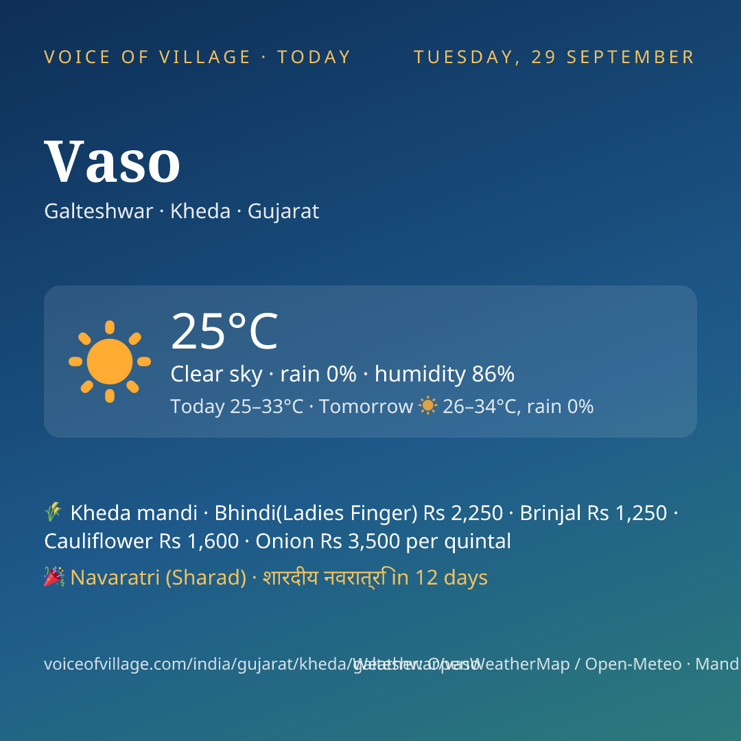 Vaso today
