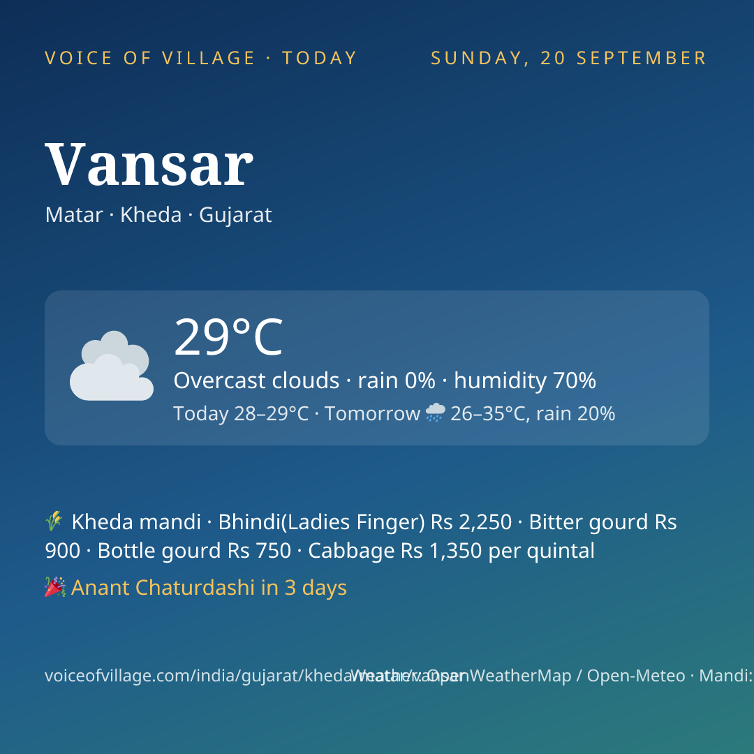 Vansar today