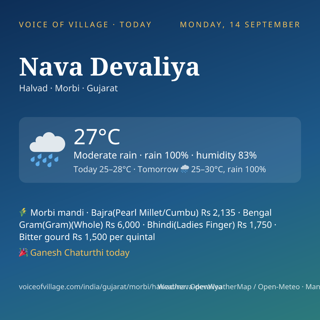 Nava Devaliya today