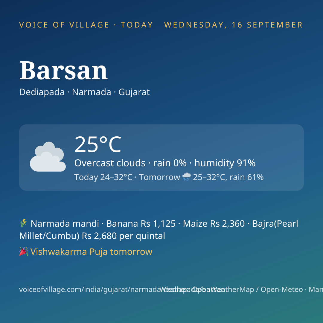 Barsan today