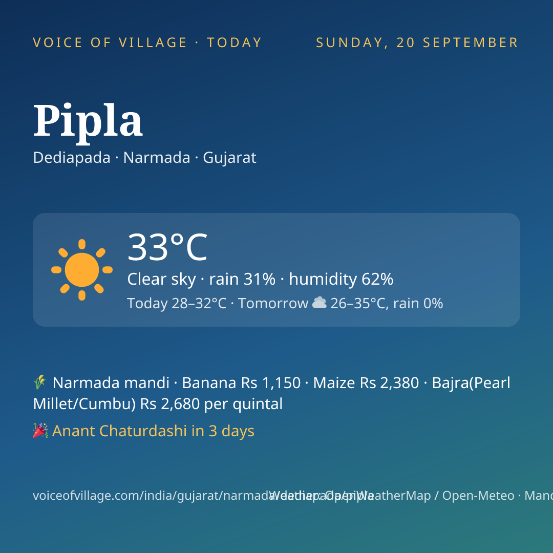 Pipla today