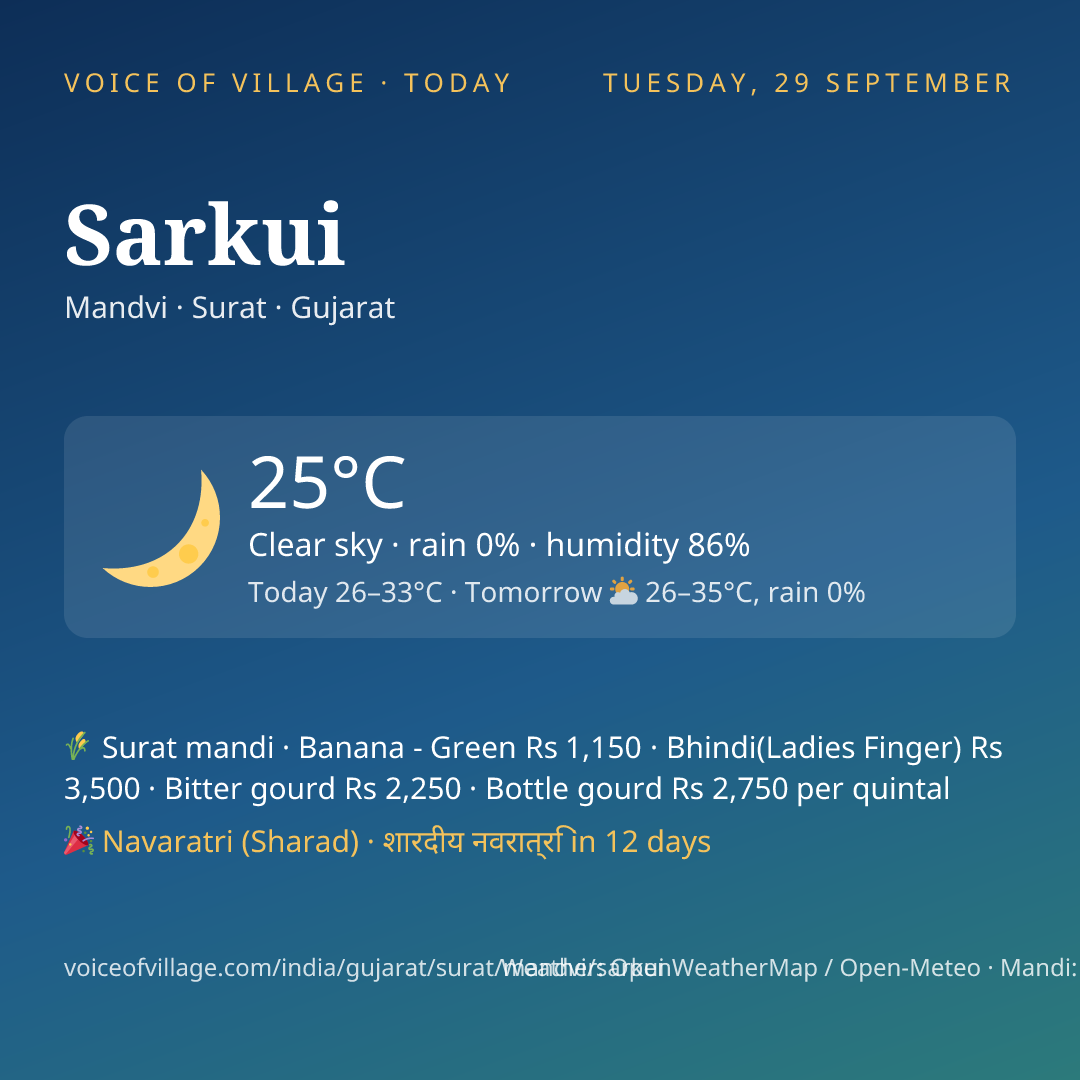 Sarkui today