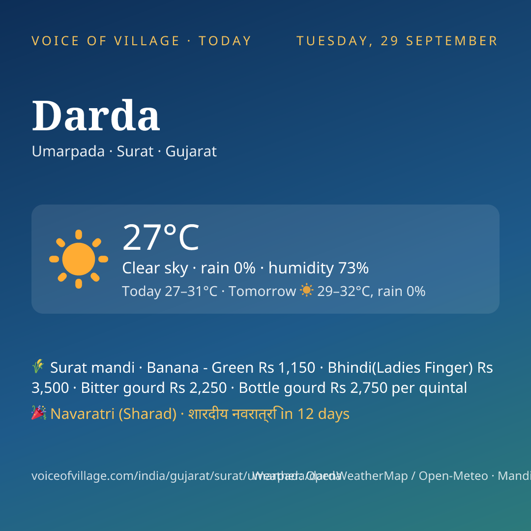 Darda today