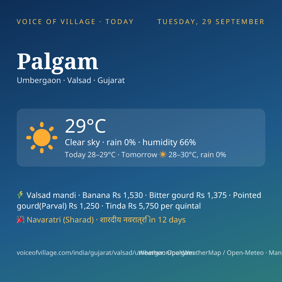 Palgam today