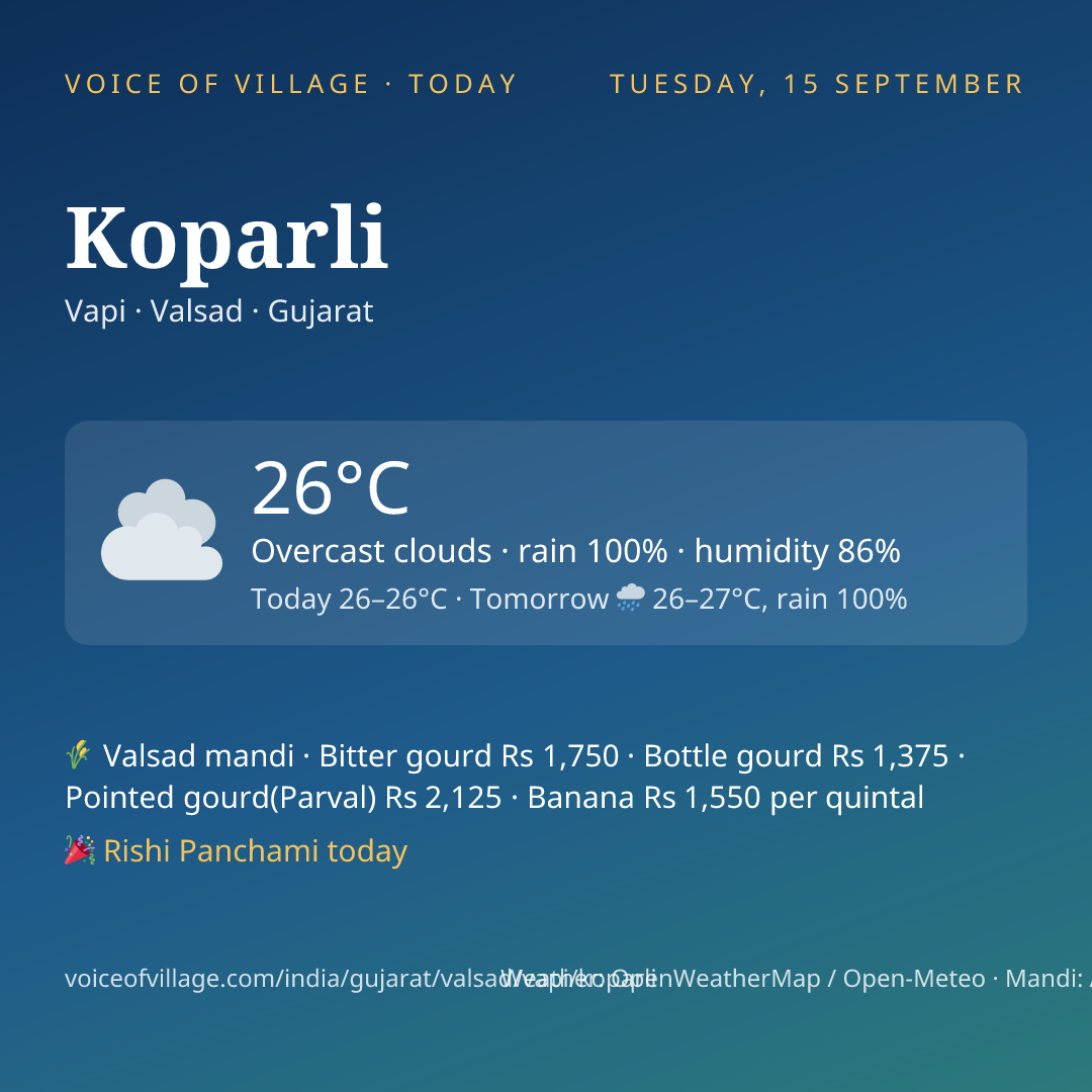 Koparli today