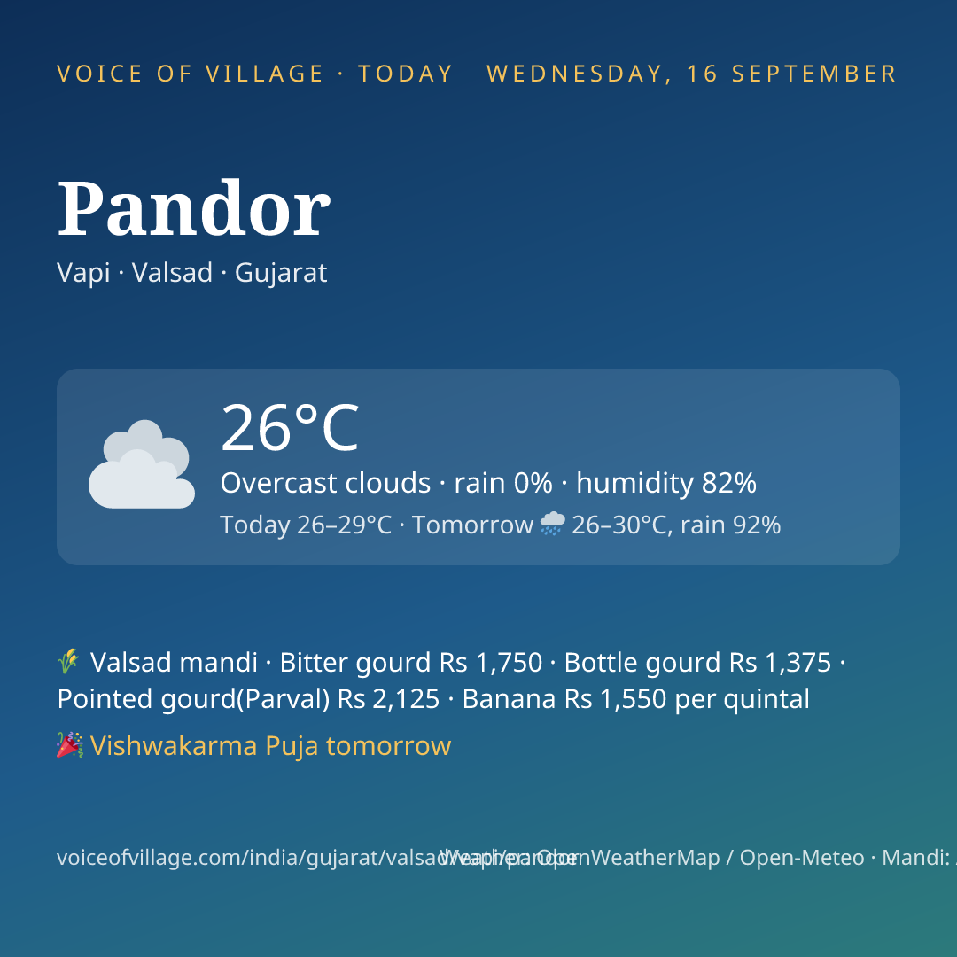 Pandor today