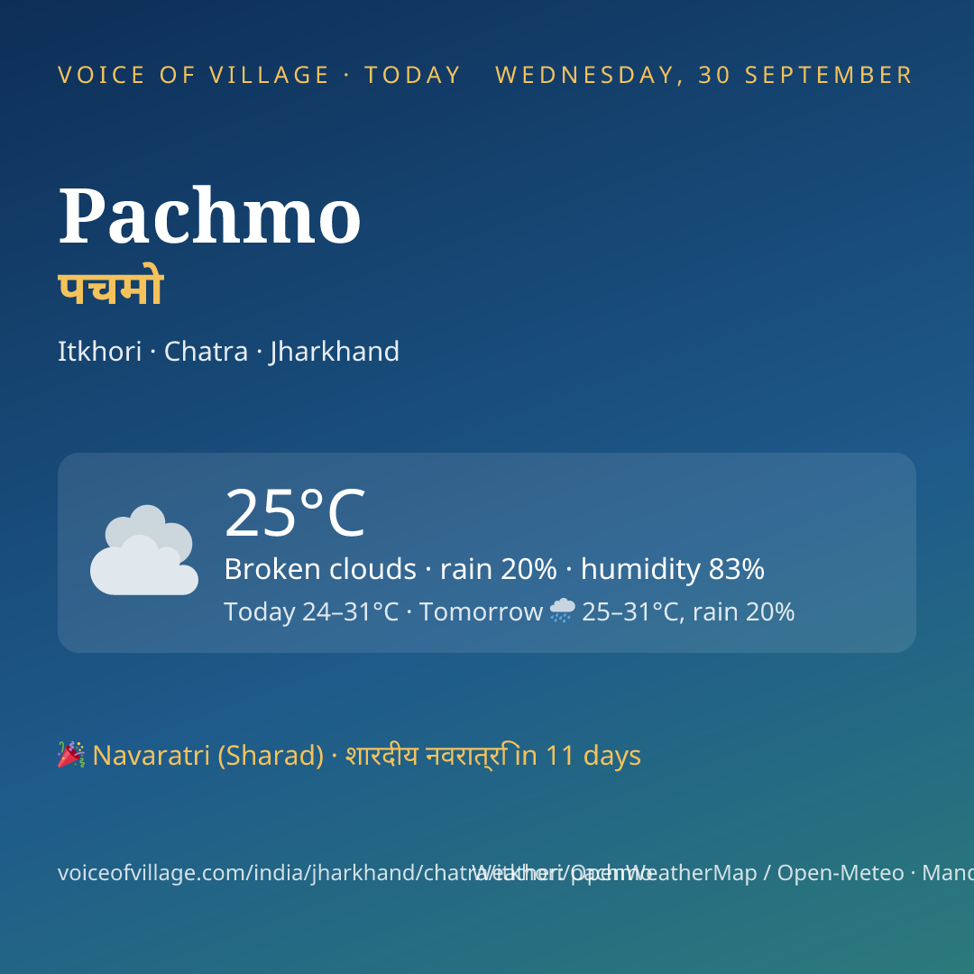 Pachmo today