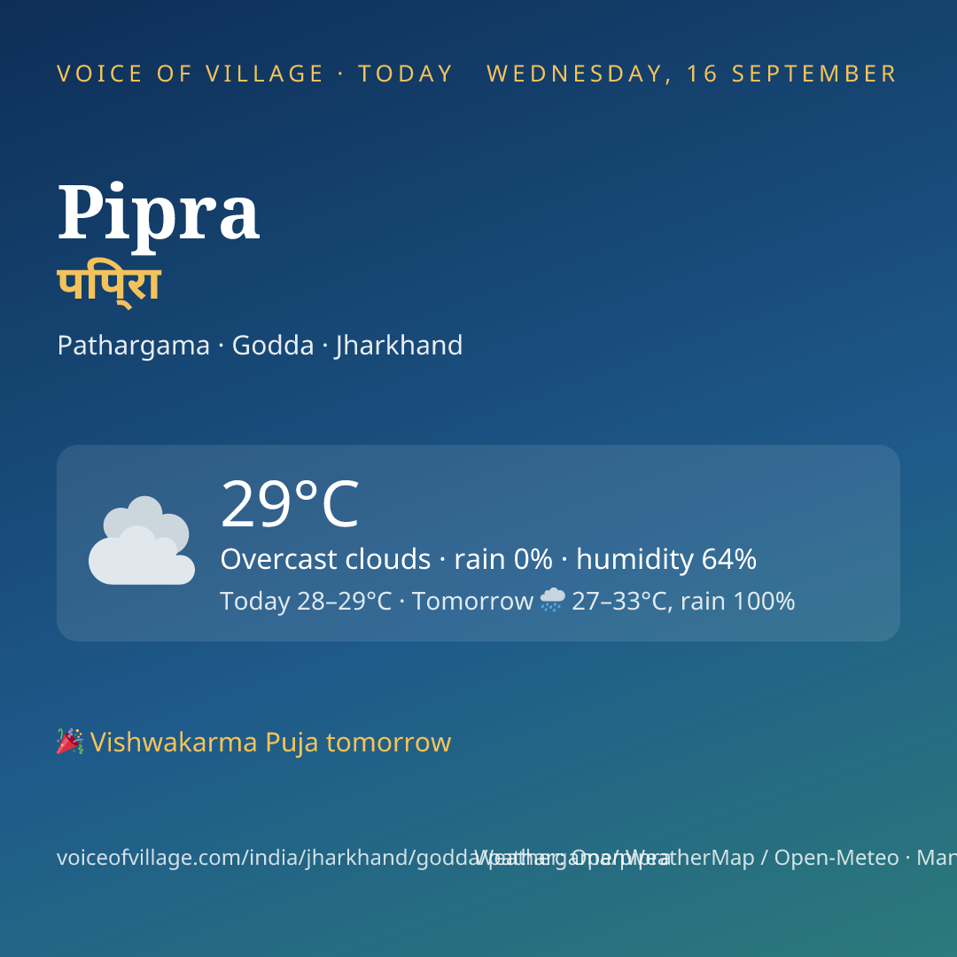 Pipra today