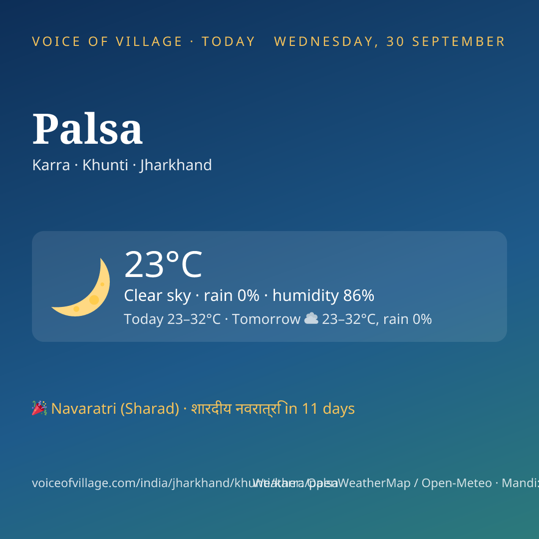 Palsa today