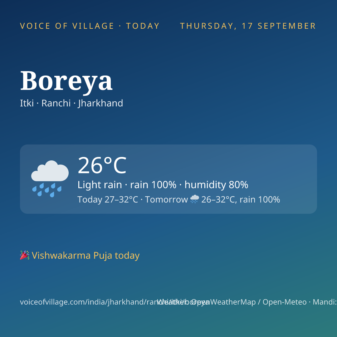 Boreya today
