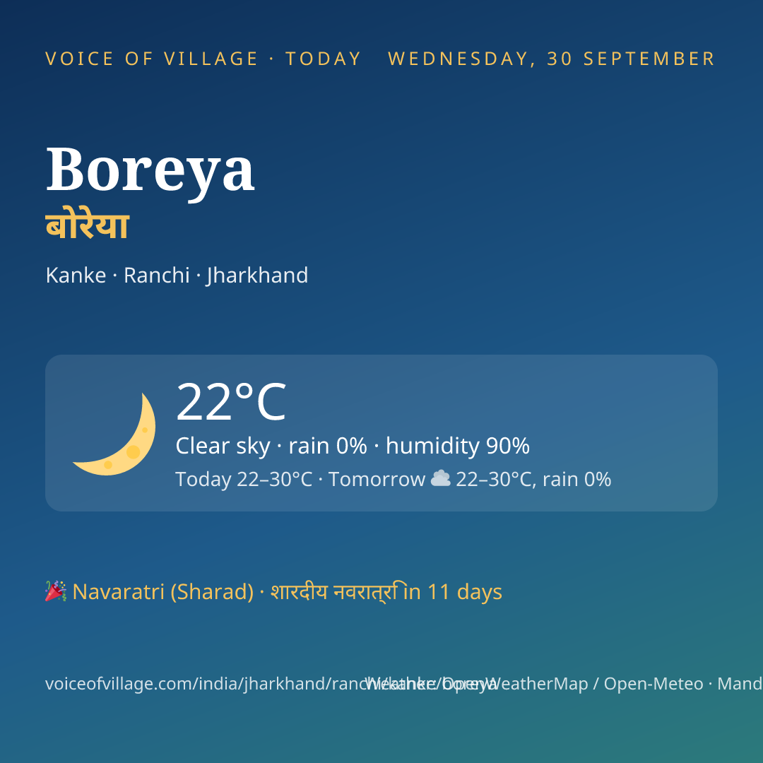 Boreya today