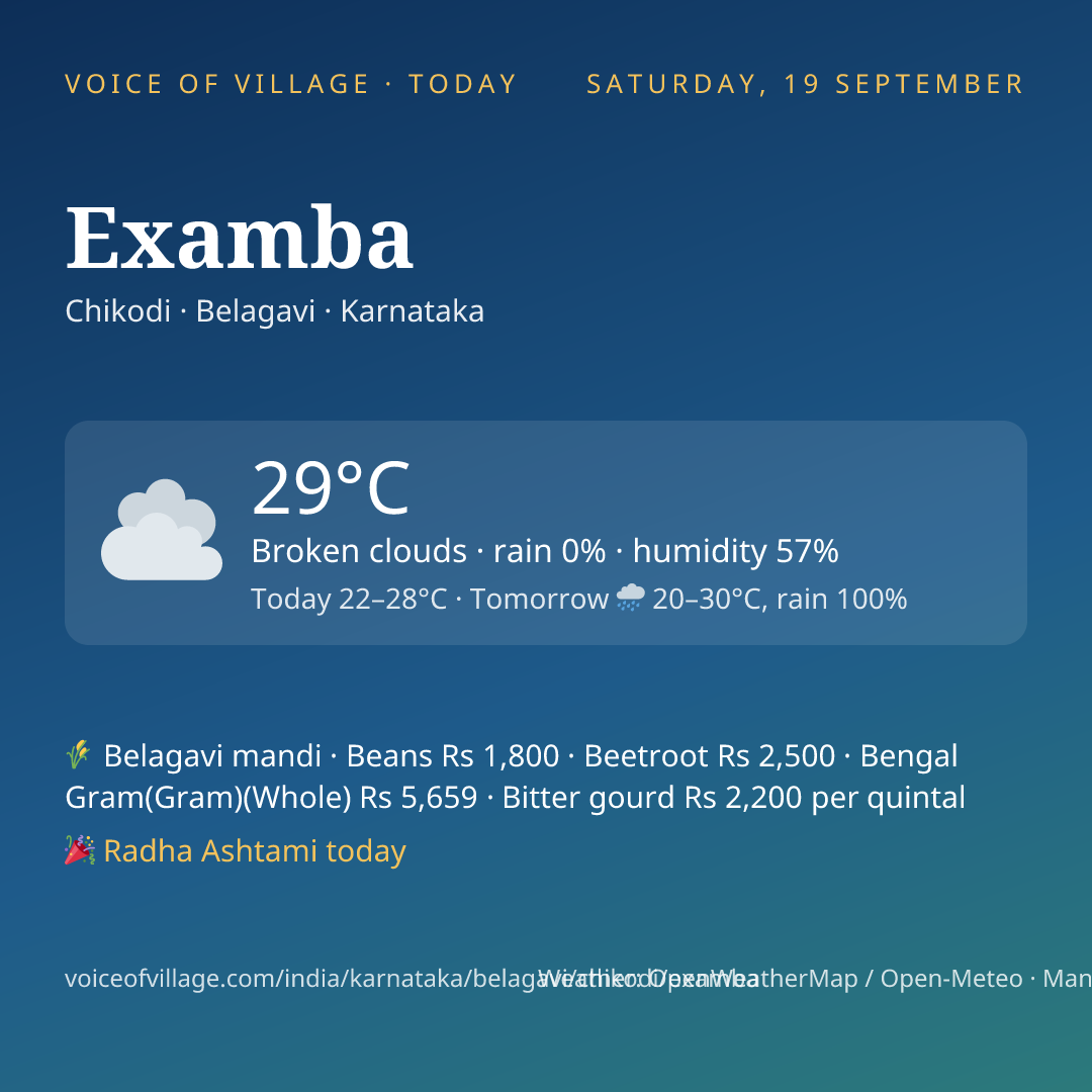 Examba today