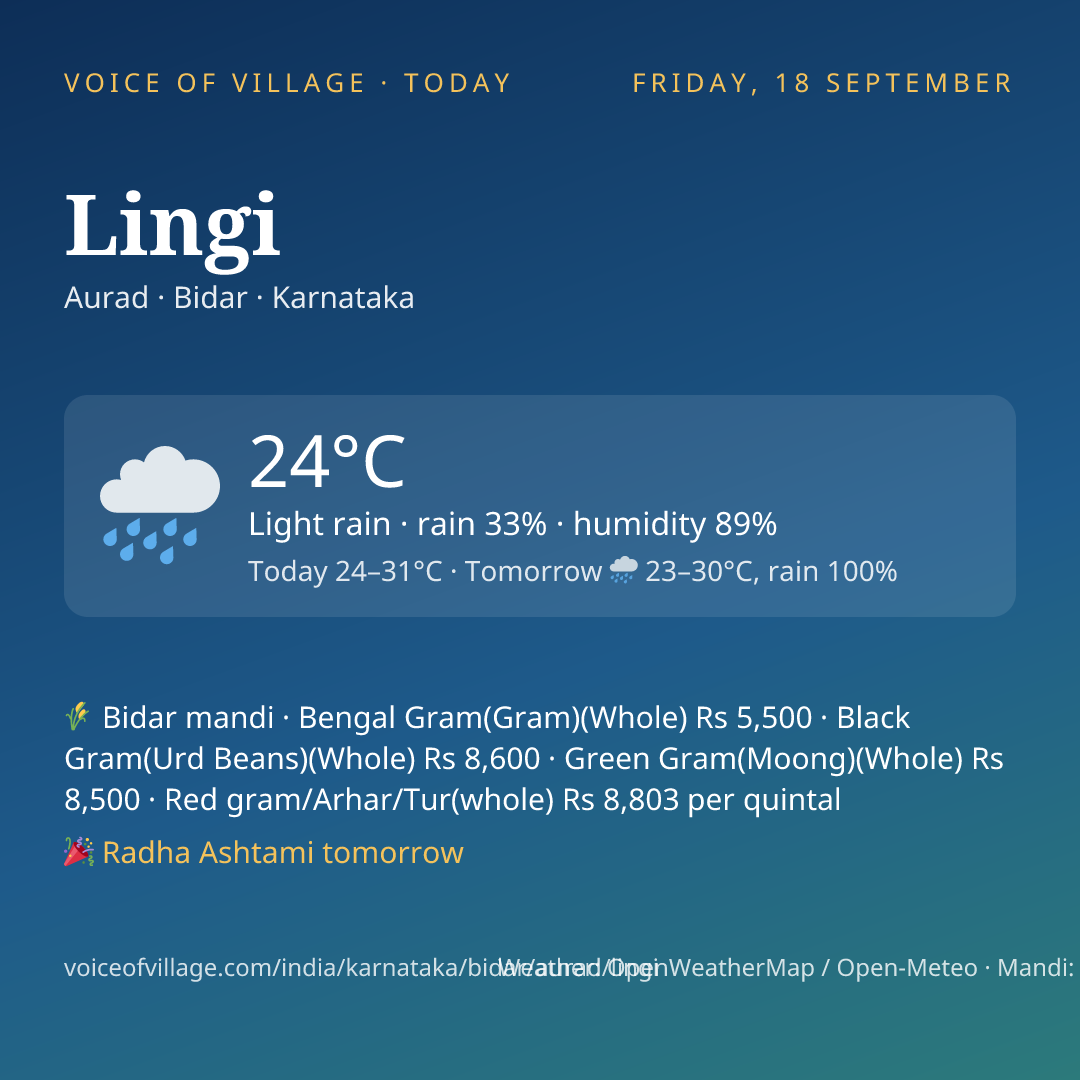 Lingi today