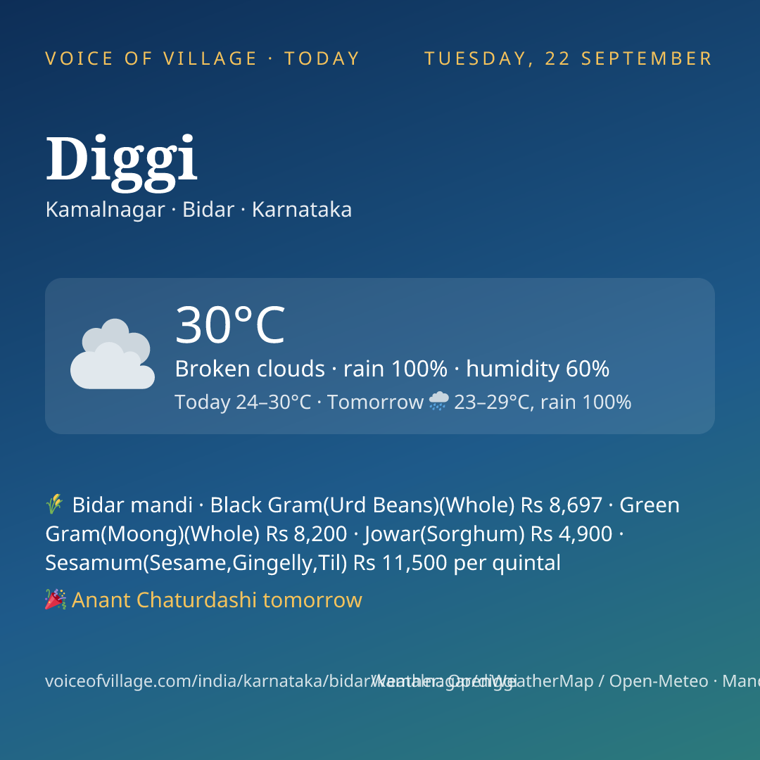 Diggi today