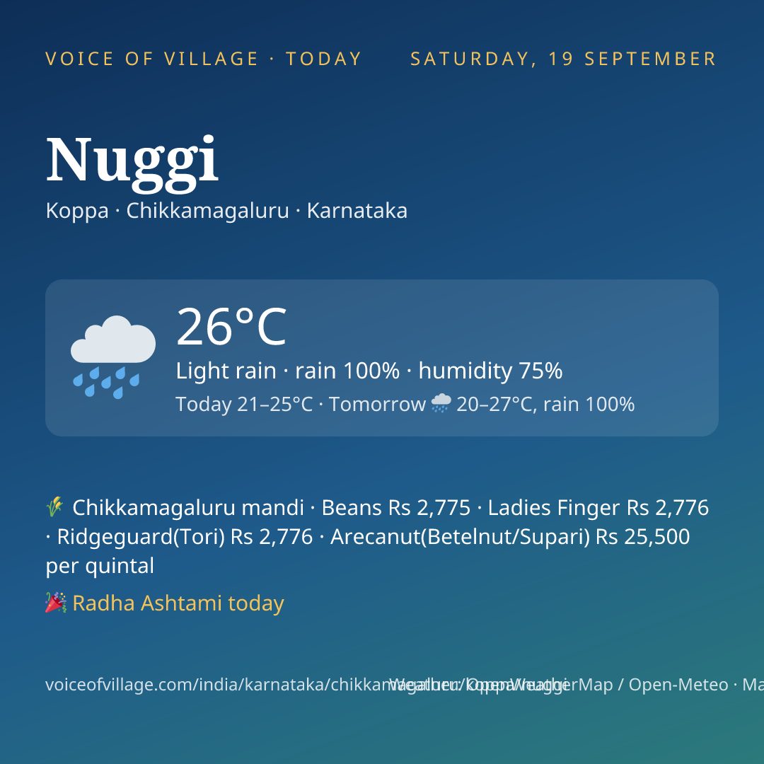 Nuggi today