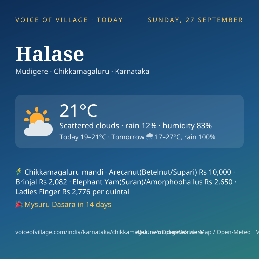 Halase today