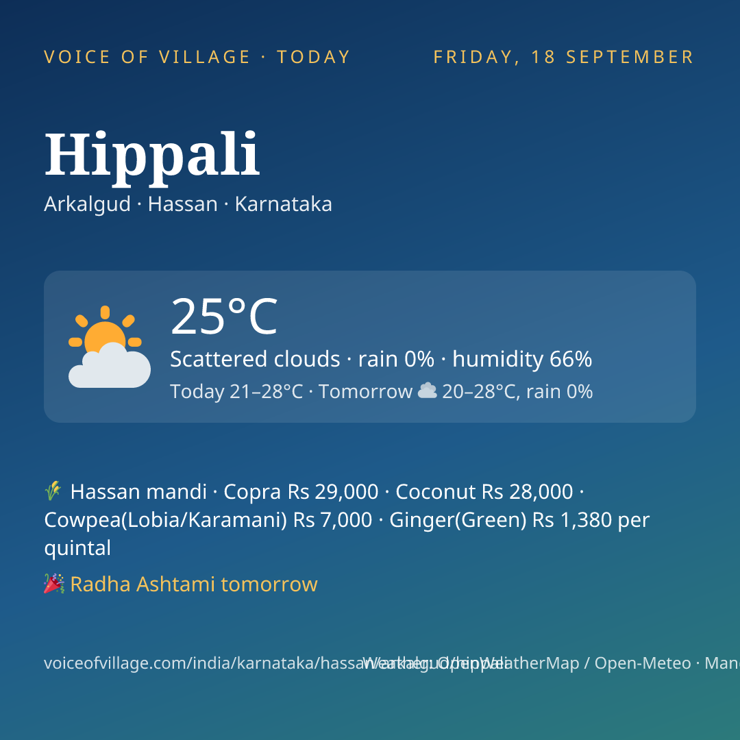 Hippali today