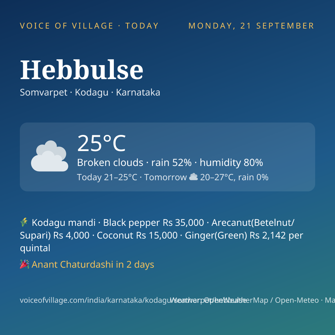 Hebbulse today