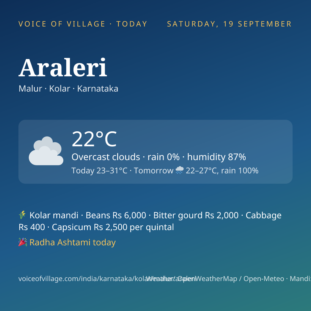 Araleri today