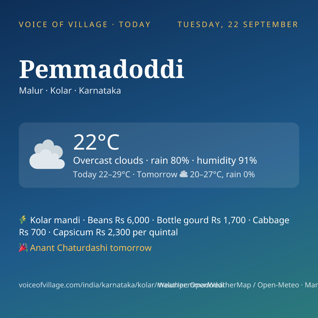 Pemmadoddi today