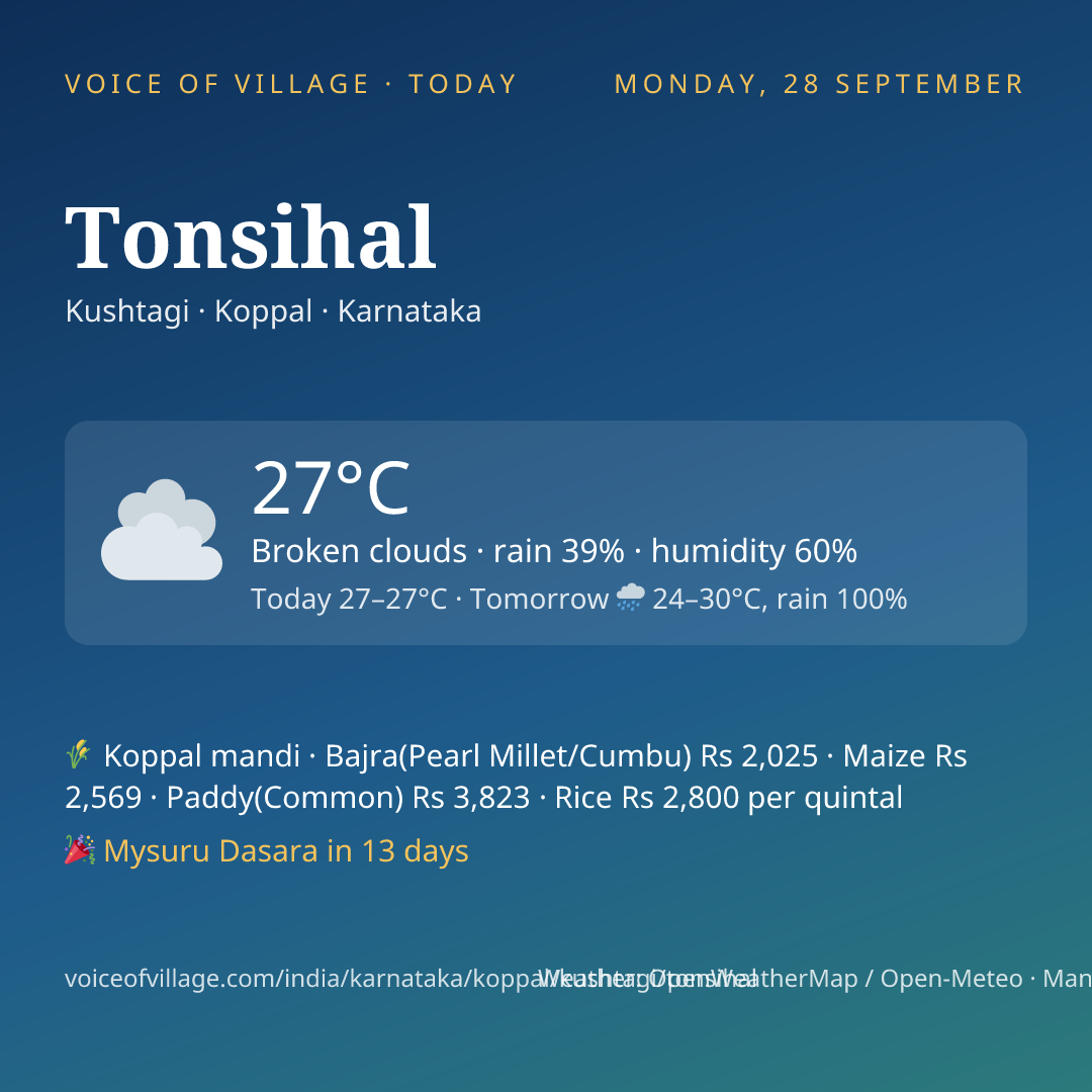 Tonsihal today