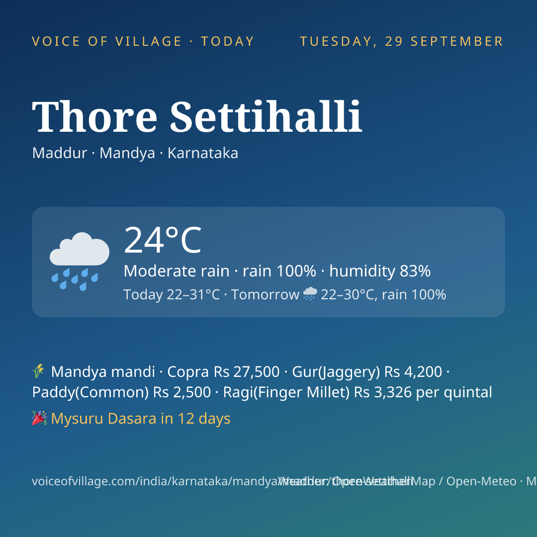 Thore Settihalli today