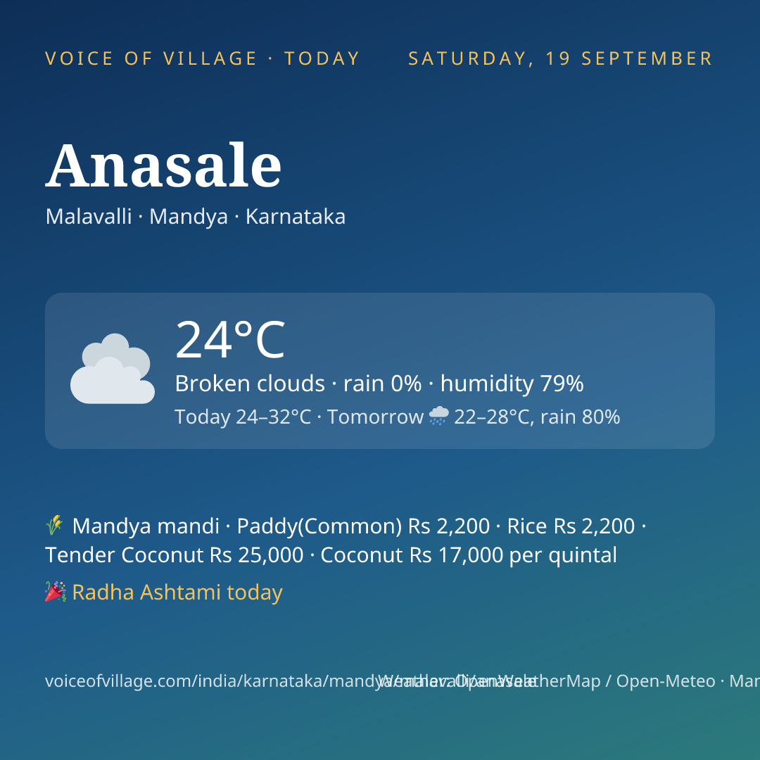Anasale today