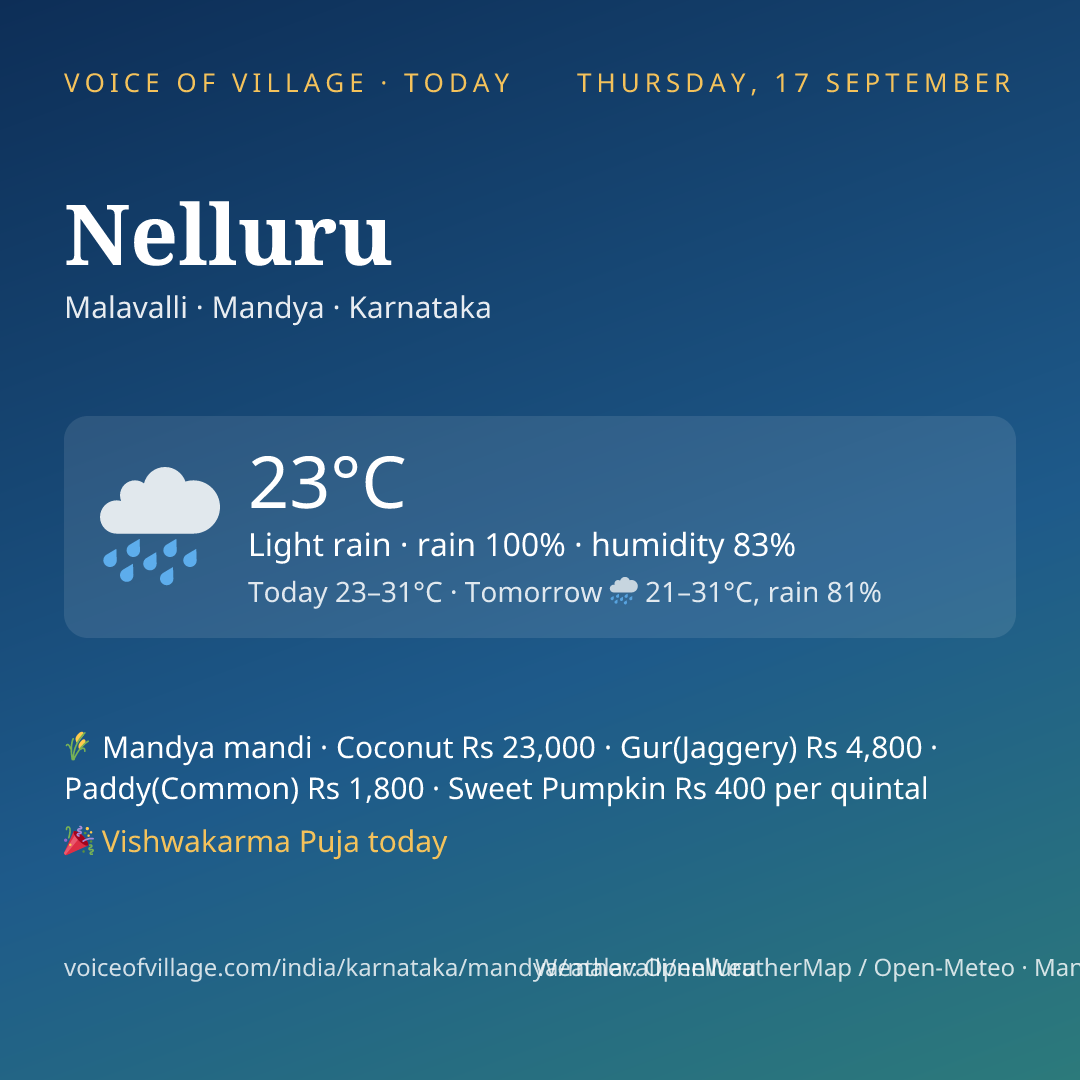 Nelluru today