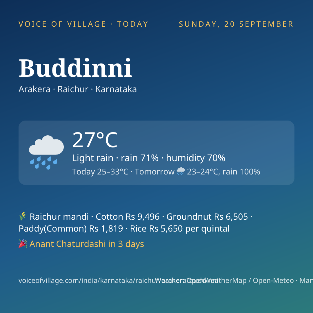 Buddinni today