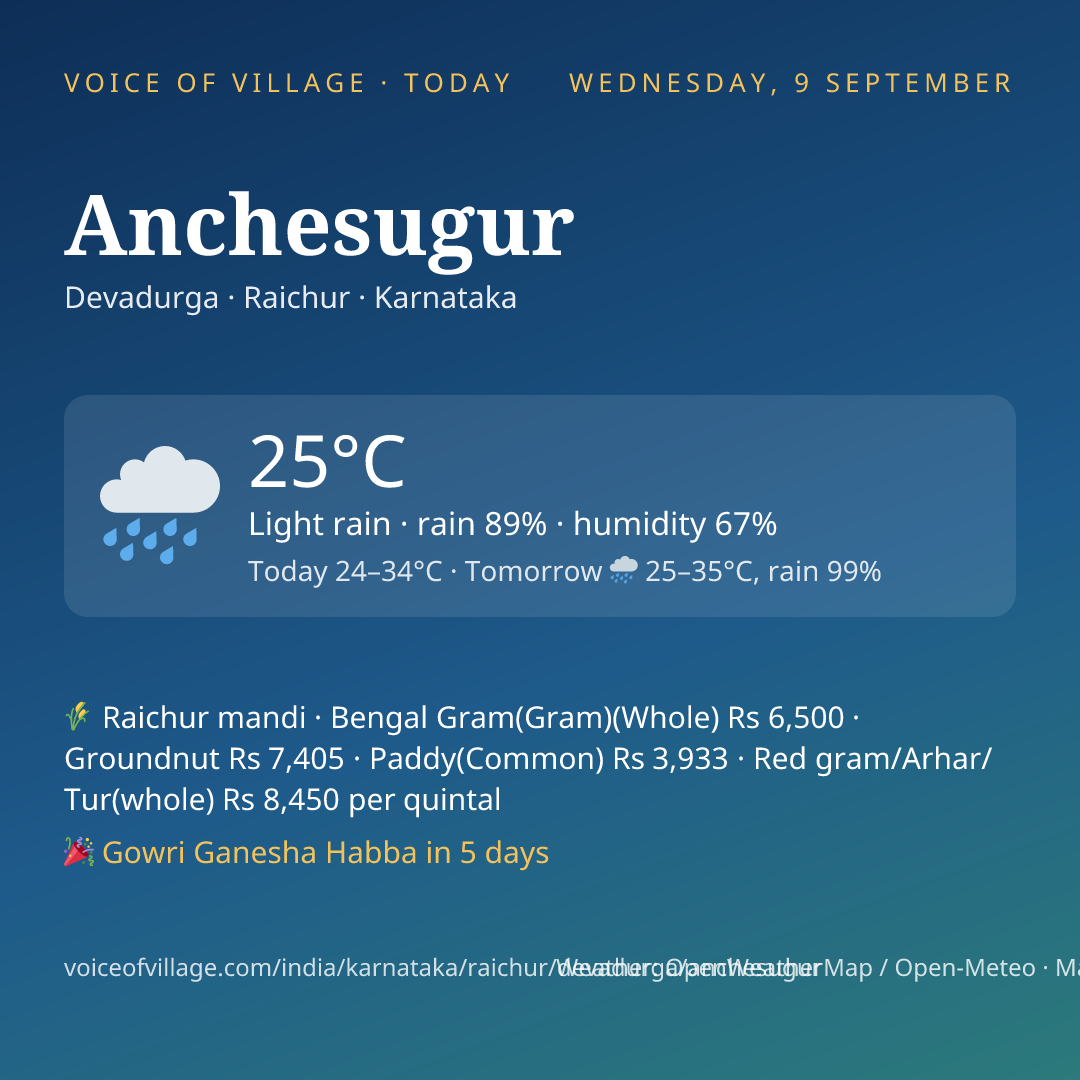 Anchesugur today